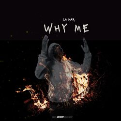 Cover of Why me?