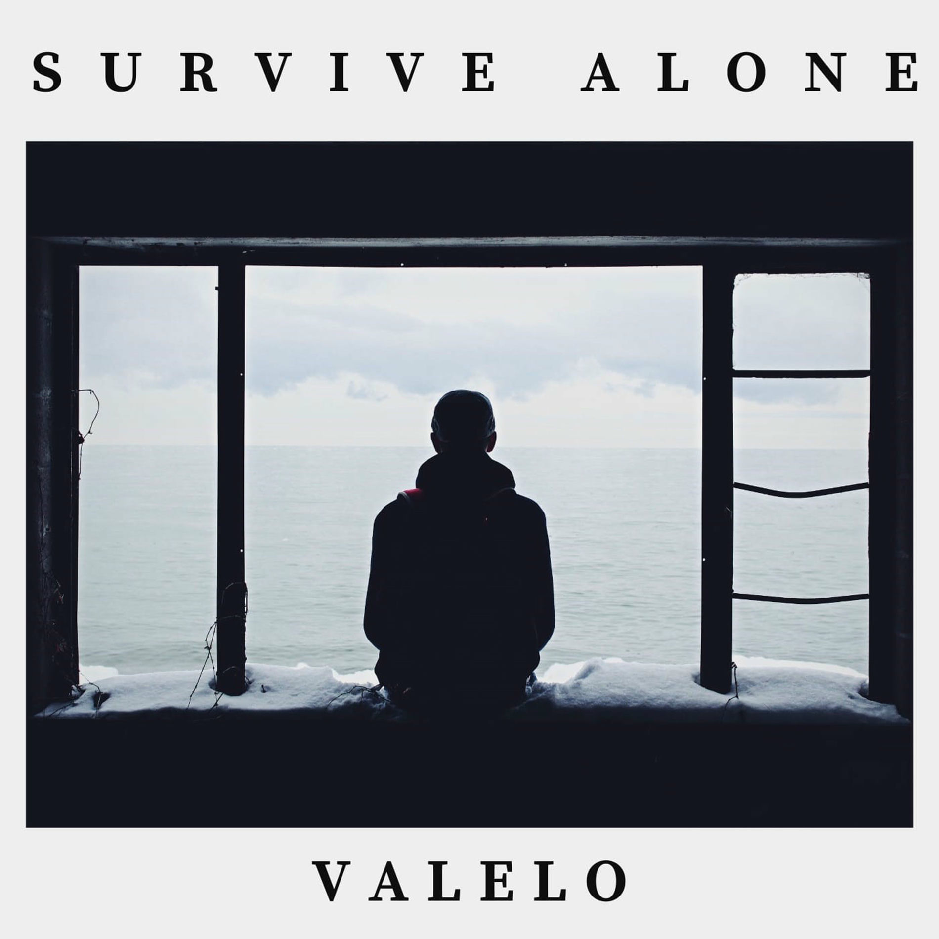 Album cover of Survive Alone