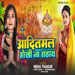 Cover of Aaditmal Hokhi Na Sahay