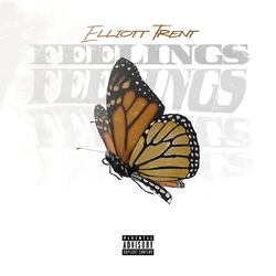 Cover of Feelings