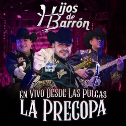 Cover of La Precopa (Desde las Pulgas) (En Vivo)