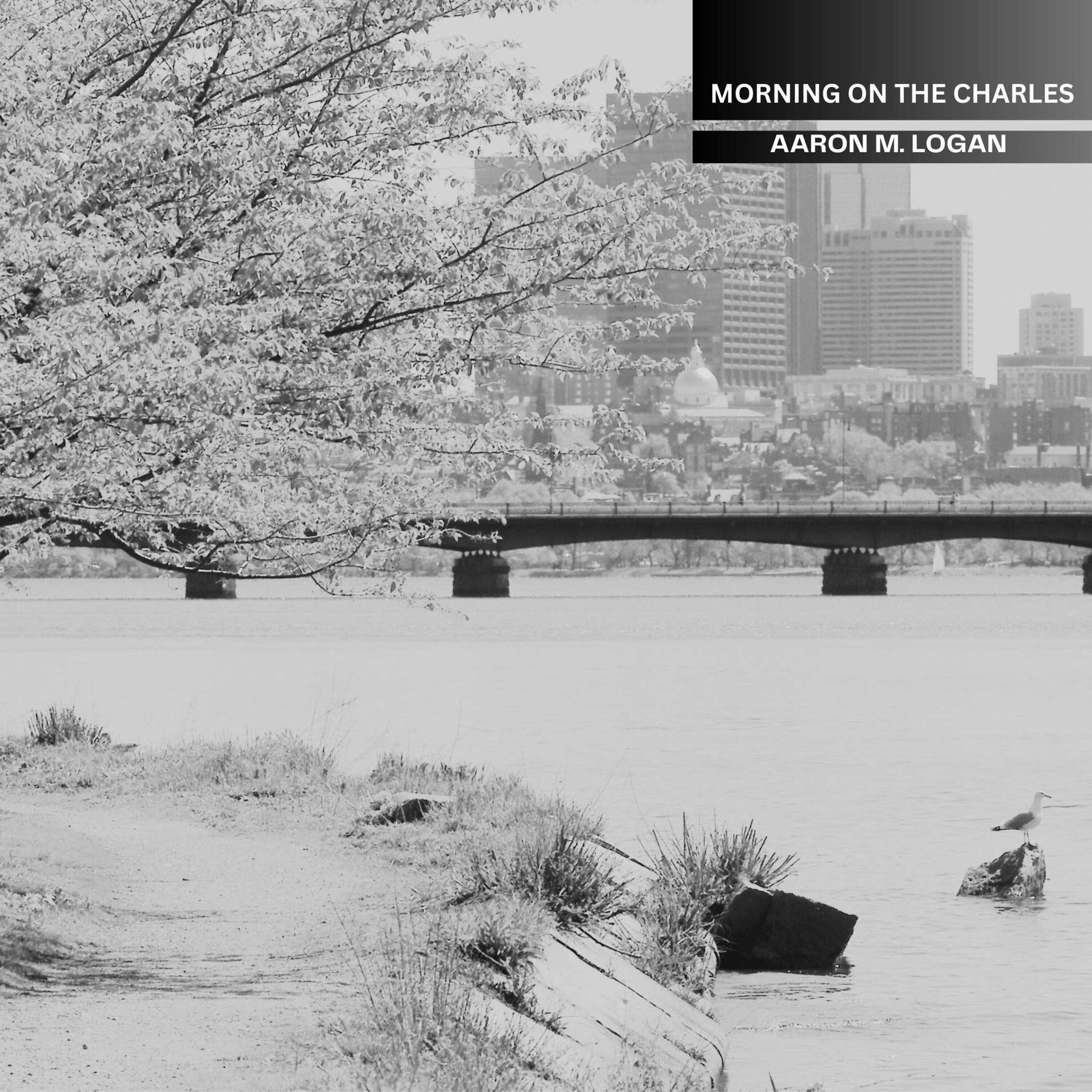 Album cover of Morning on The Charles