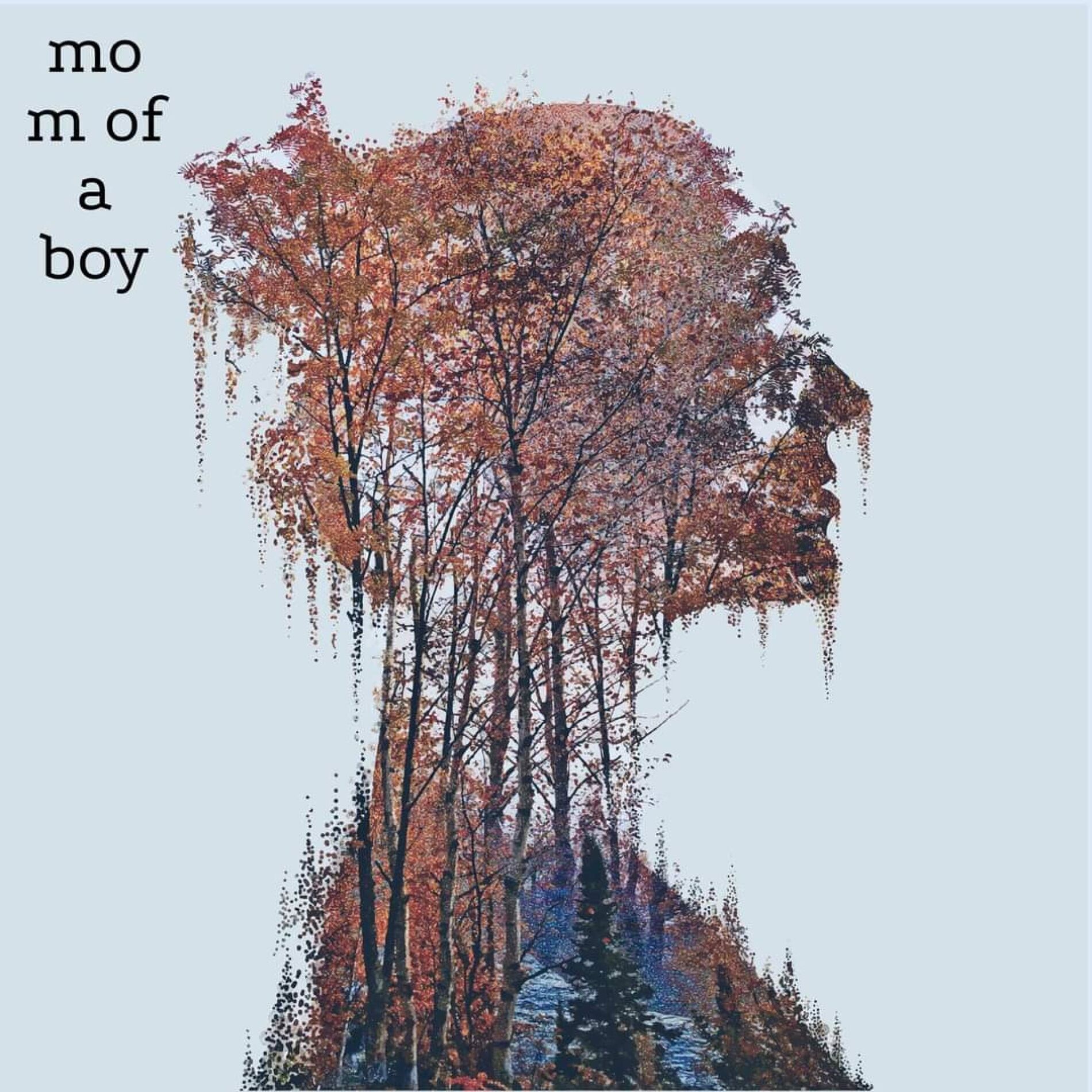 Album cover of mom of a boy