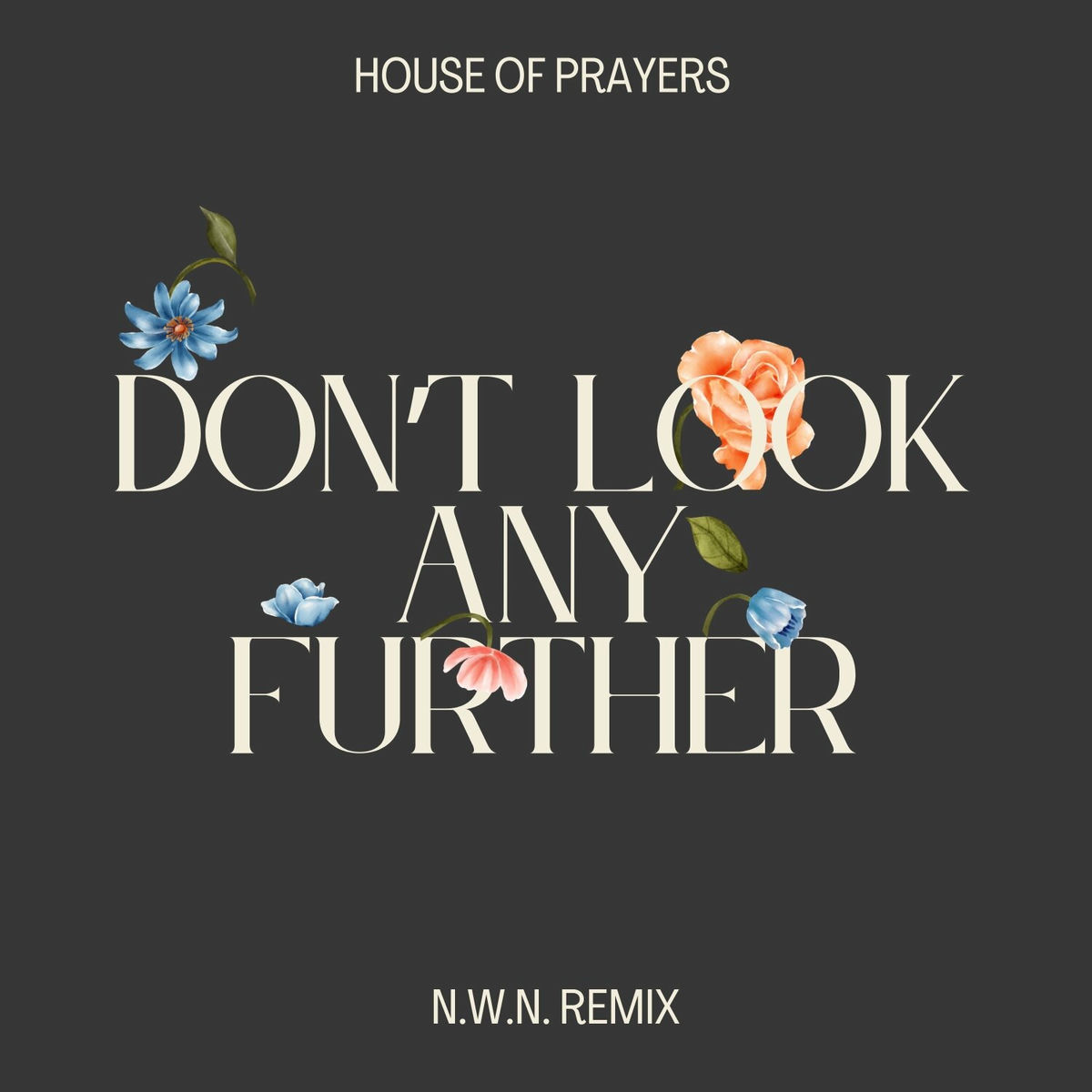 Album cover of Don't Look Any Further
