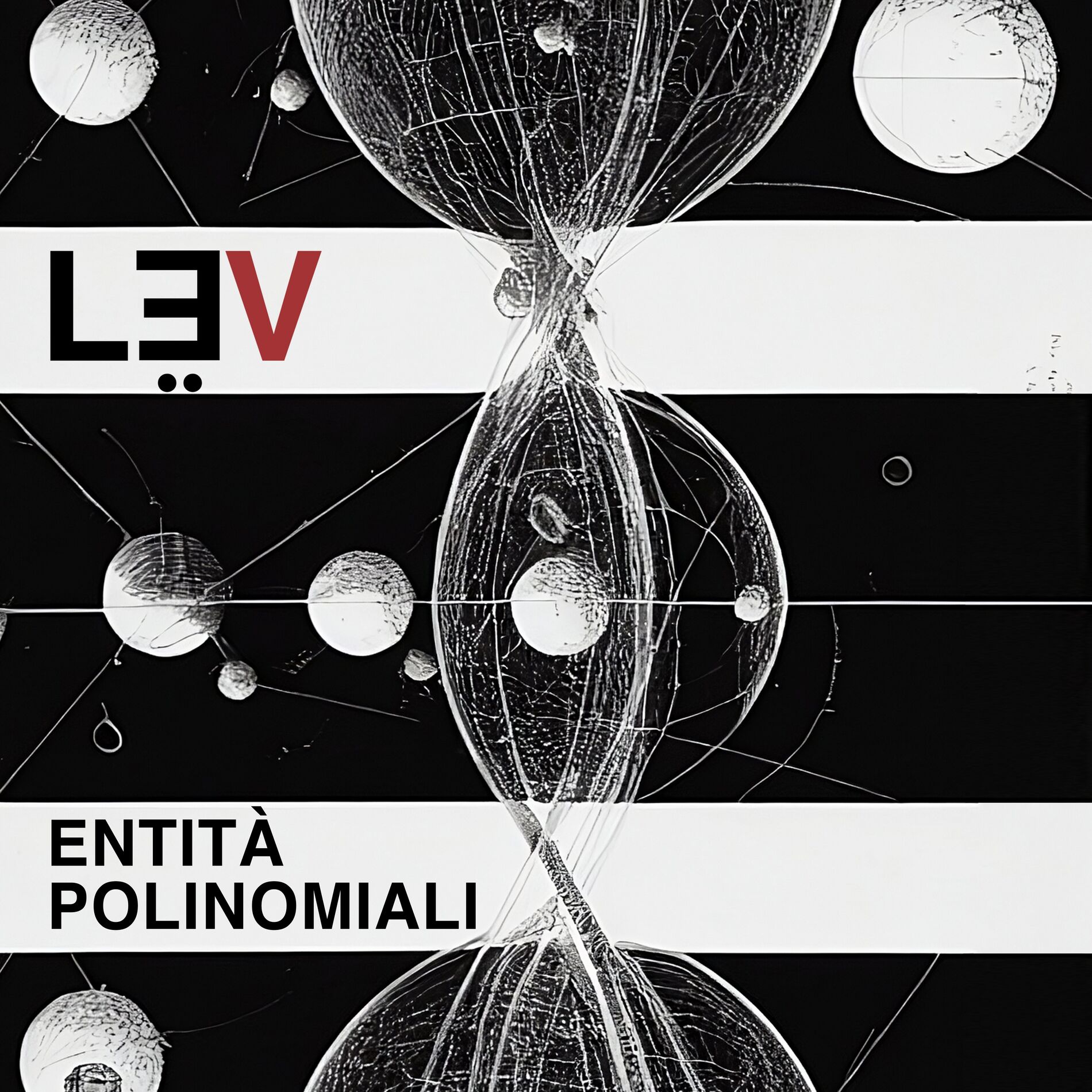 Album cover of Entità Polinomiali