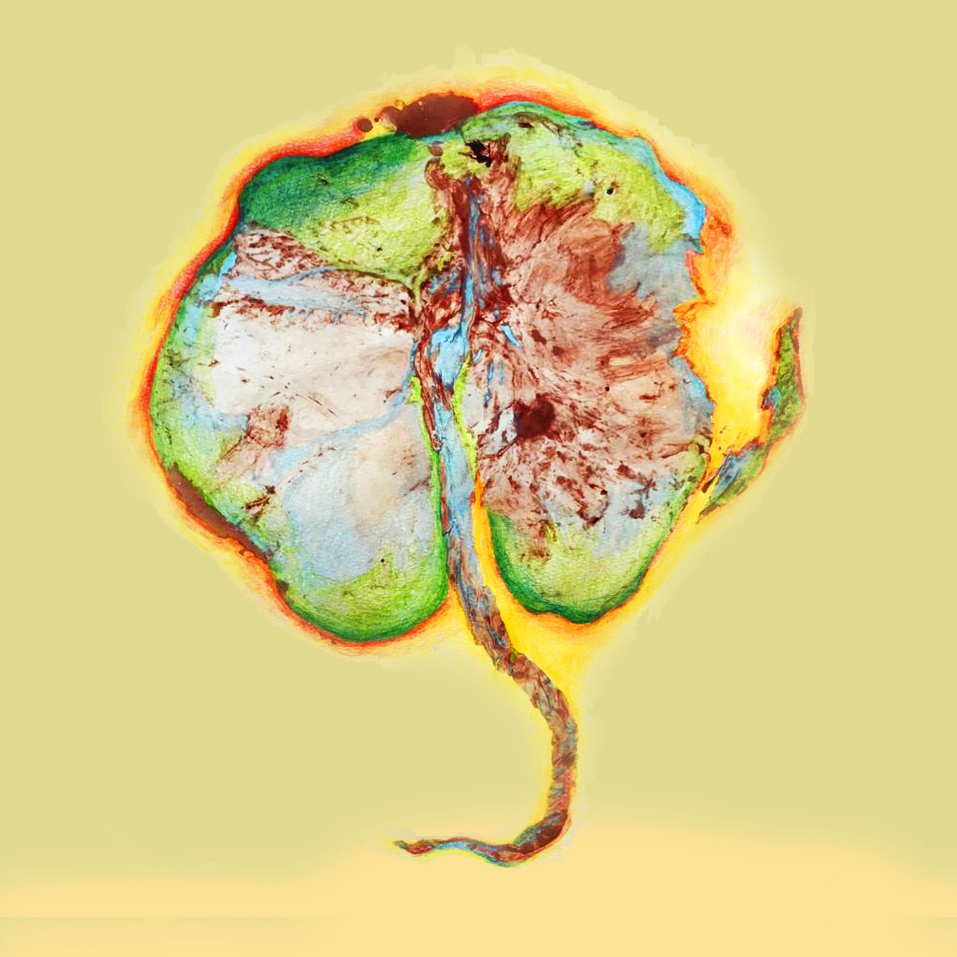 Album cover of Luz & Chuva de Esmeralda