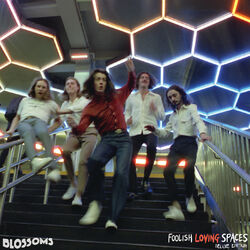 Cover of Foolish Loving Spaces (Deluxe Edition)