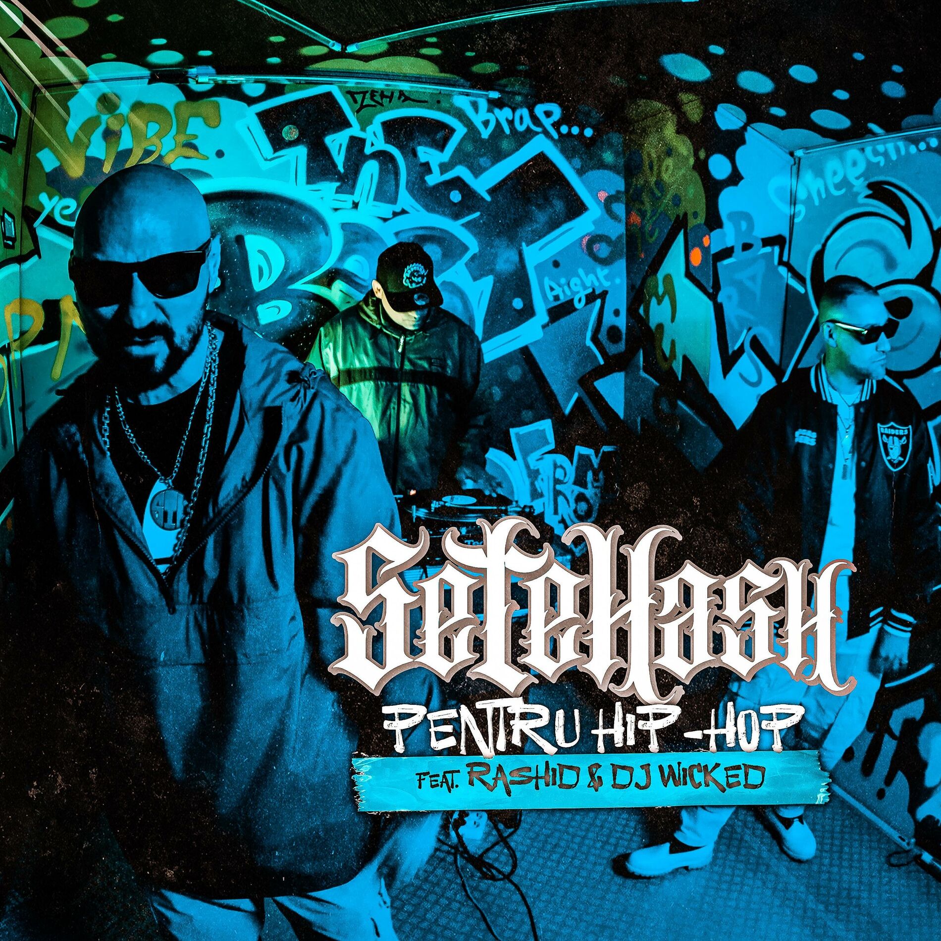 Album cover of Pentru Hip-Hop (feat. Rashid & DJ WicKeD)