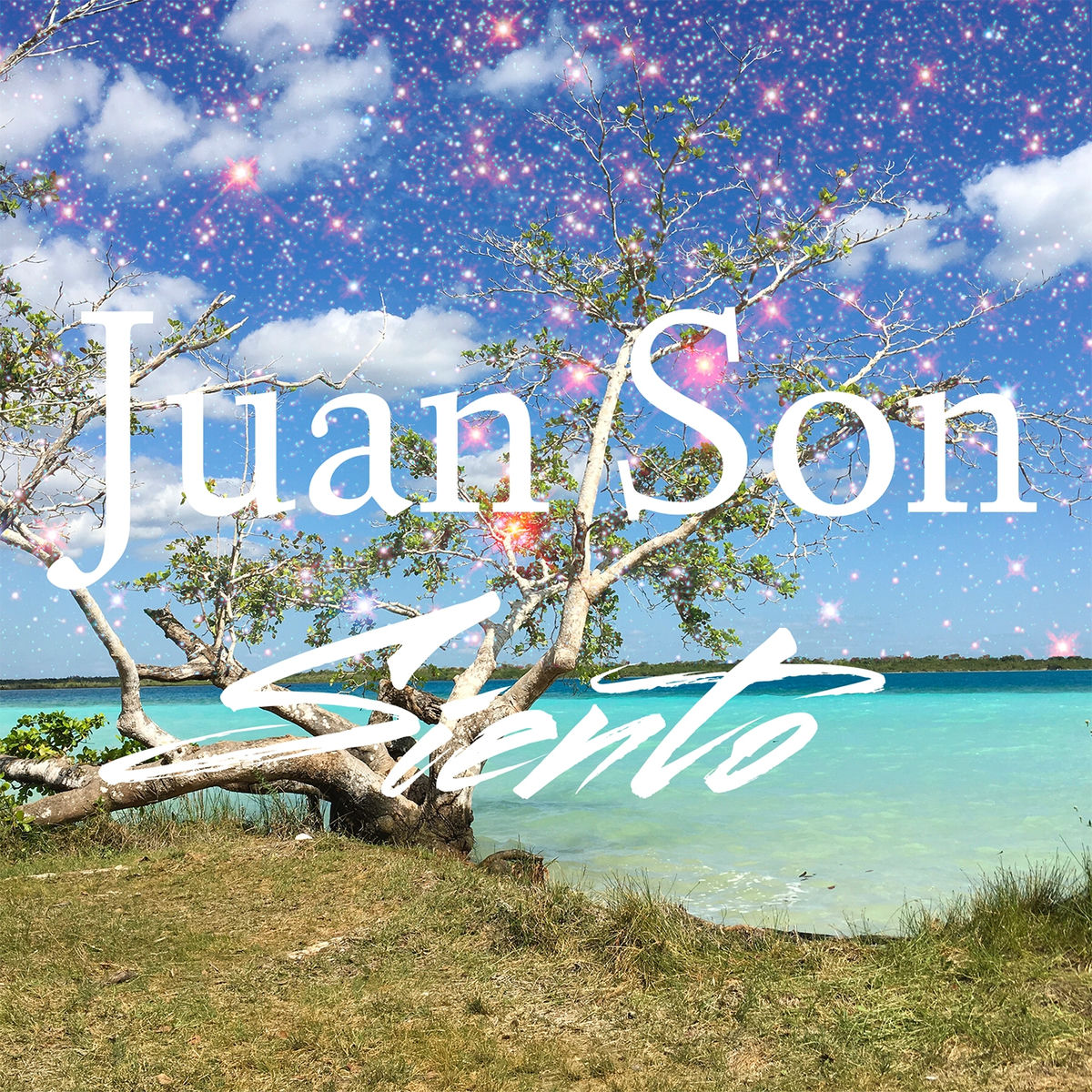 Album cover of Siento