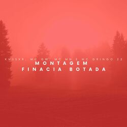 Cover of Montagem Financia Botada