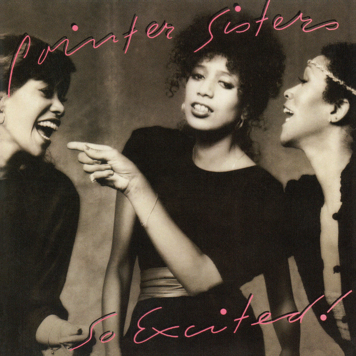 プロモ盤 Pointer Sisters Having a Party Pointer Sisters – Having A Party – Vinyl (Santa Maria