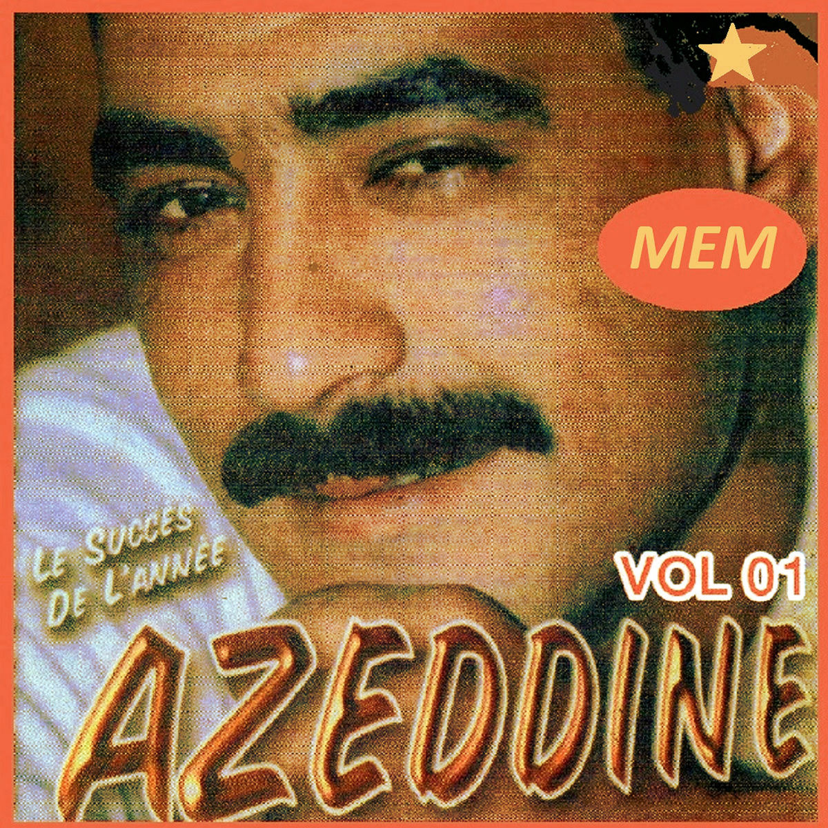 Album cover of Le succès de l'année