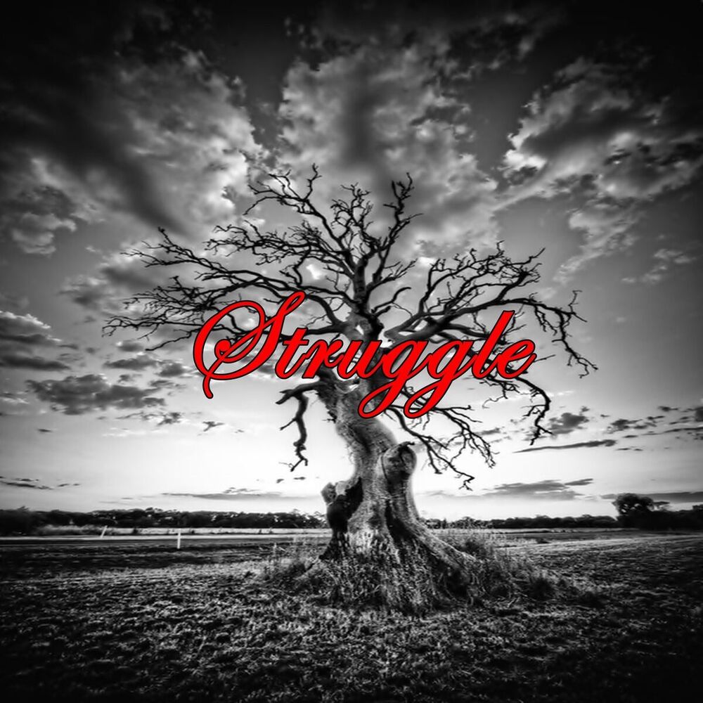 Picture of Struggle (Instrumental)