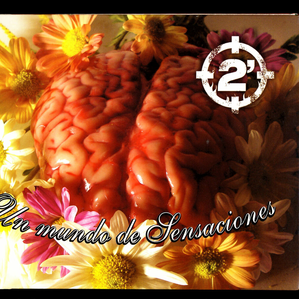 Picture of Un Mundo de Sensaciones