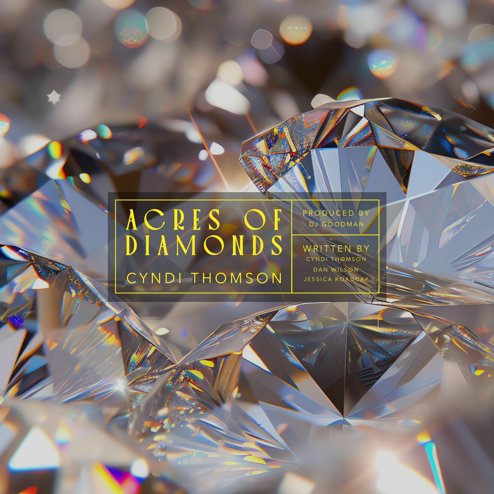 Album cover of Acres of Diamonds