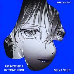 Cover of Next Step