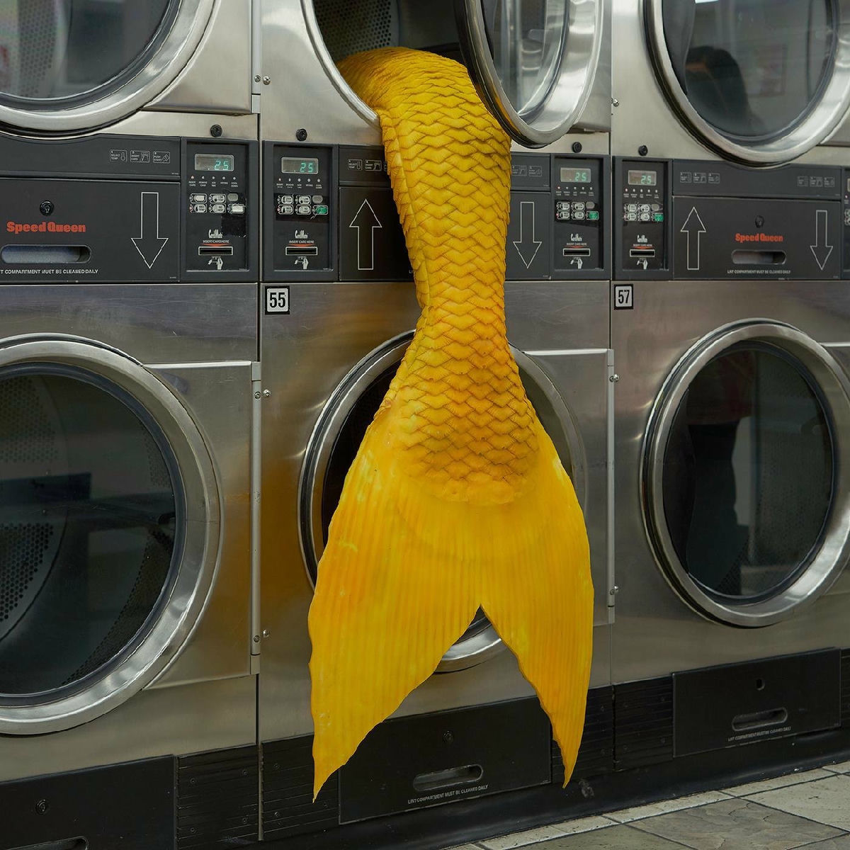 Album cover of Seen By You