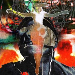 Cover of STRIDULA