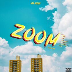 Cover of Zoom (Cover)