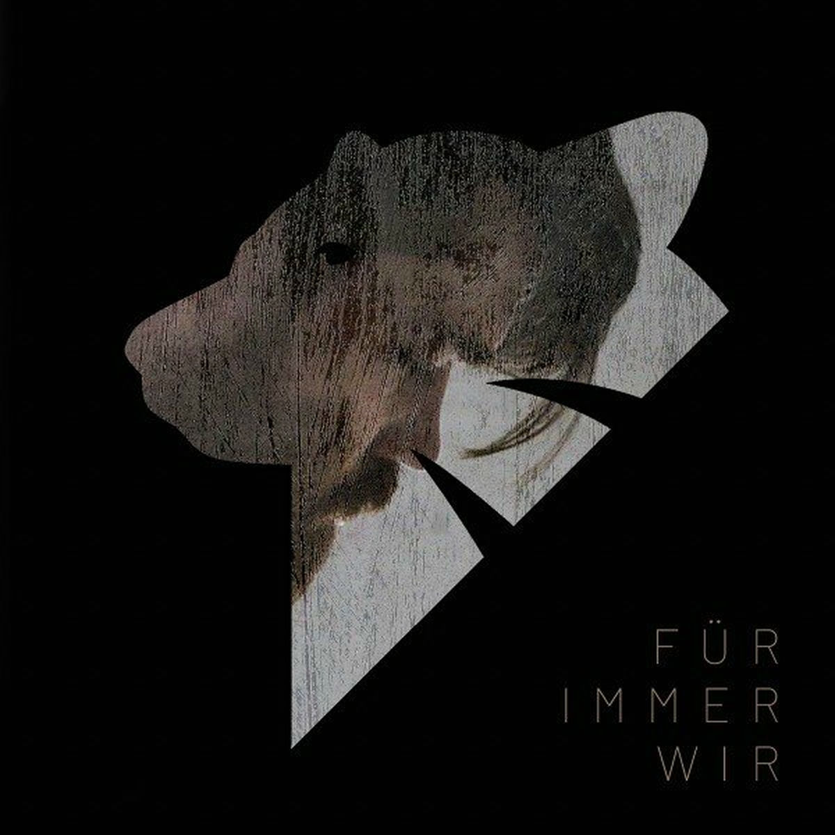 Album cover of Für immer wir