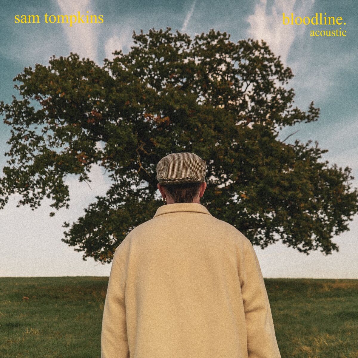 Album cover of Bloodline