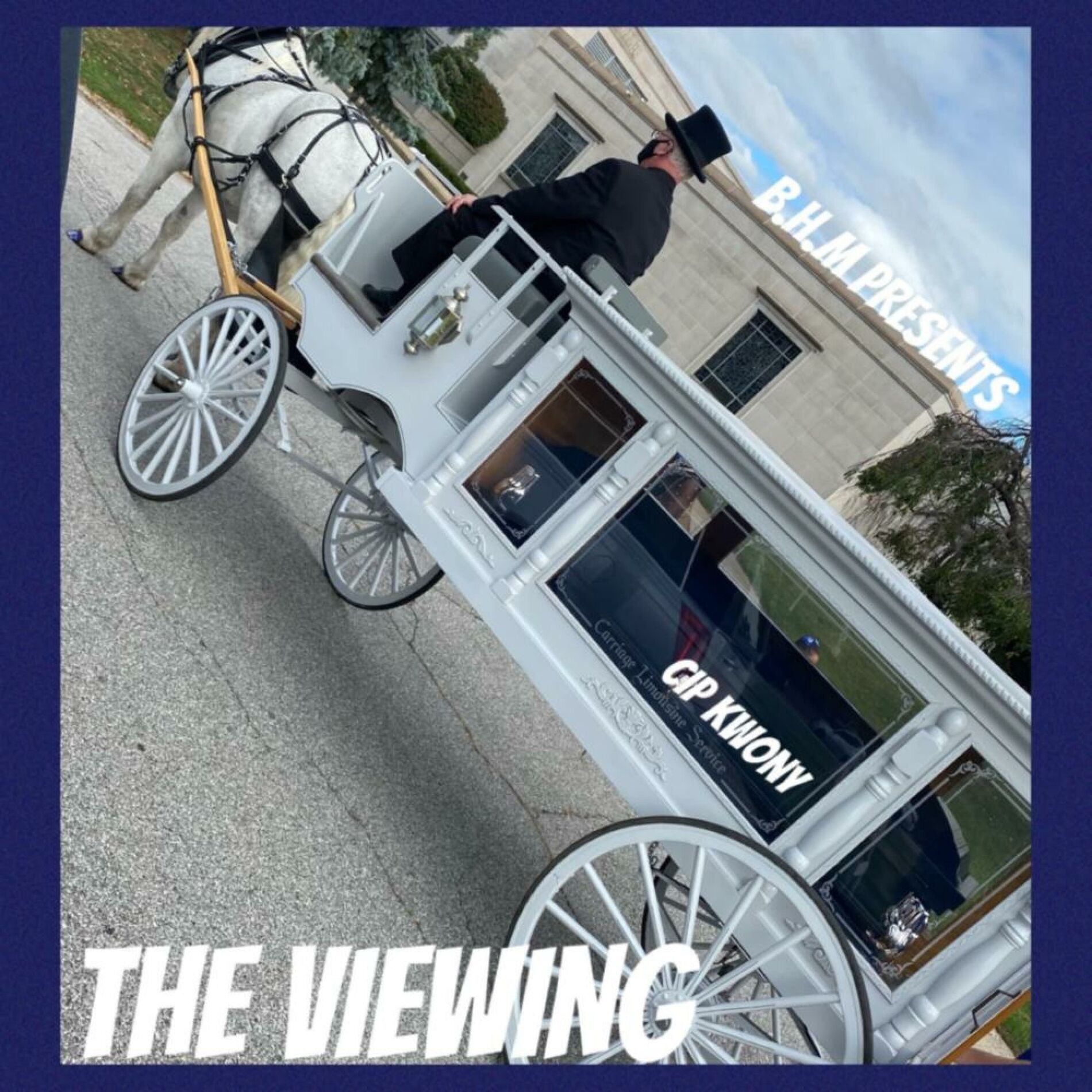Album cover of The Viewing