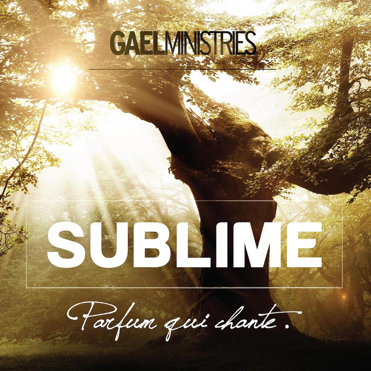 Album cover of Sublime Parfum Qui Chante