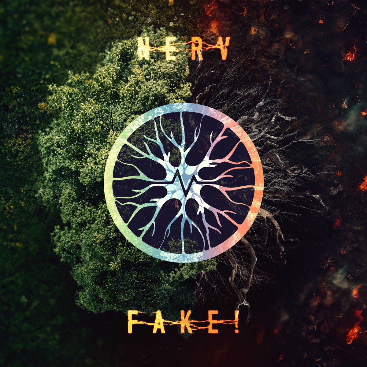 Album cover of FAKE!