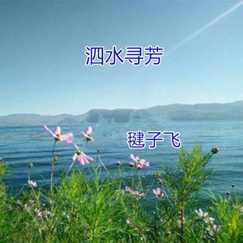 泗水寻芳