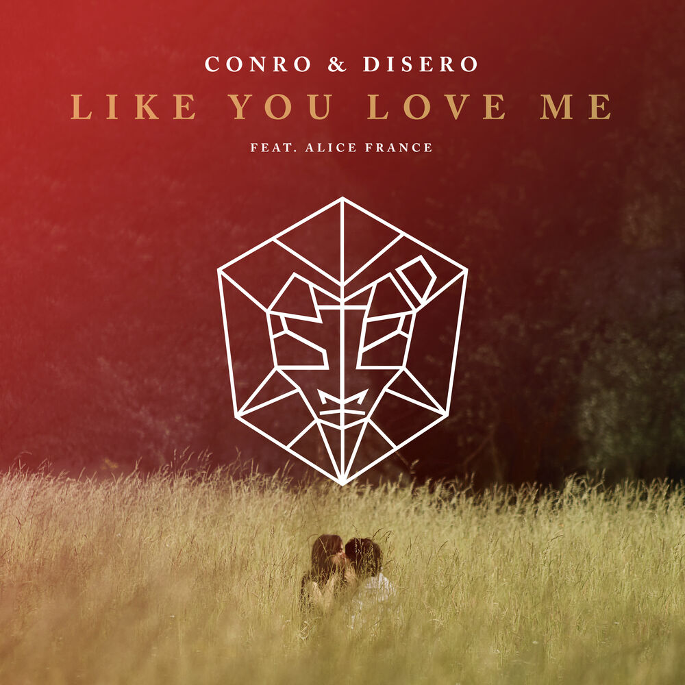 Picture of Like You Love Me