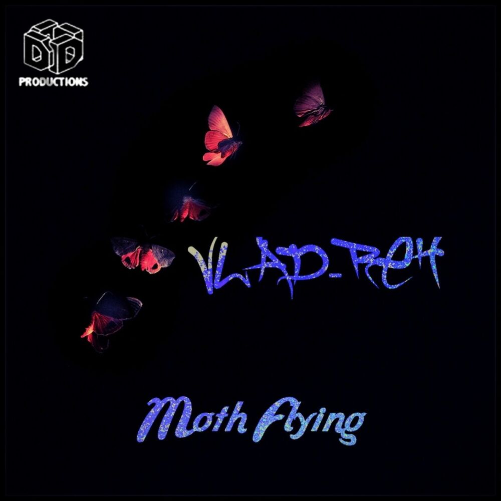 Picture of Moth Flying