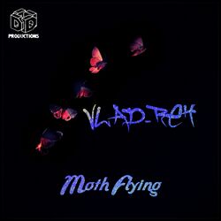 Cover of Moth Flying