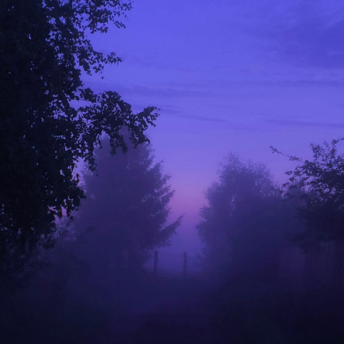 Album cover of Don't Wanna Fall