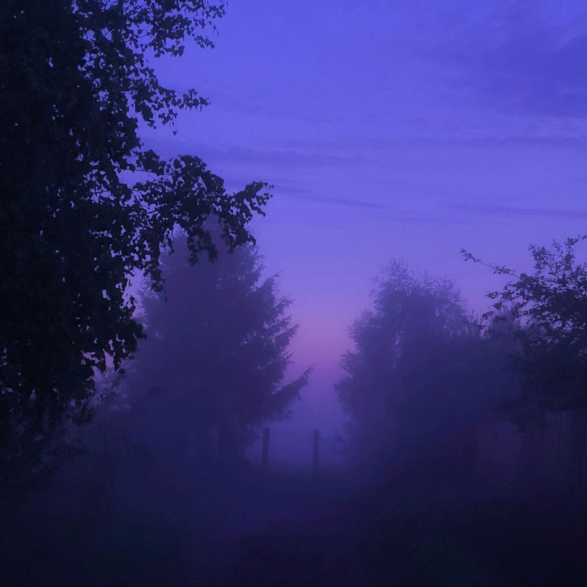 Album cover of Don't Wanna Fall