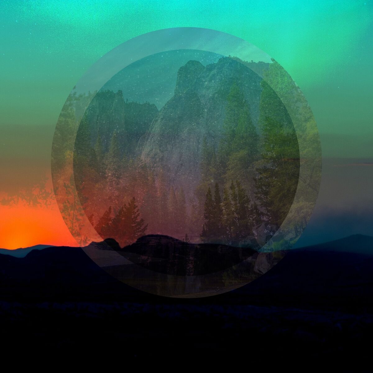 Album cover of Still Life