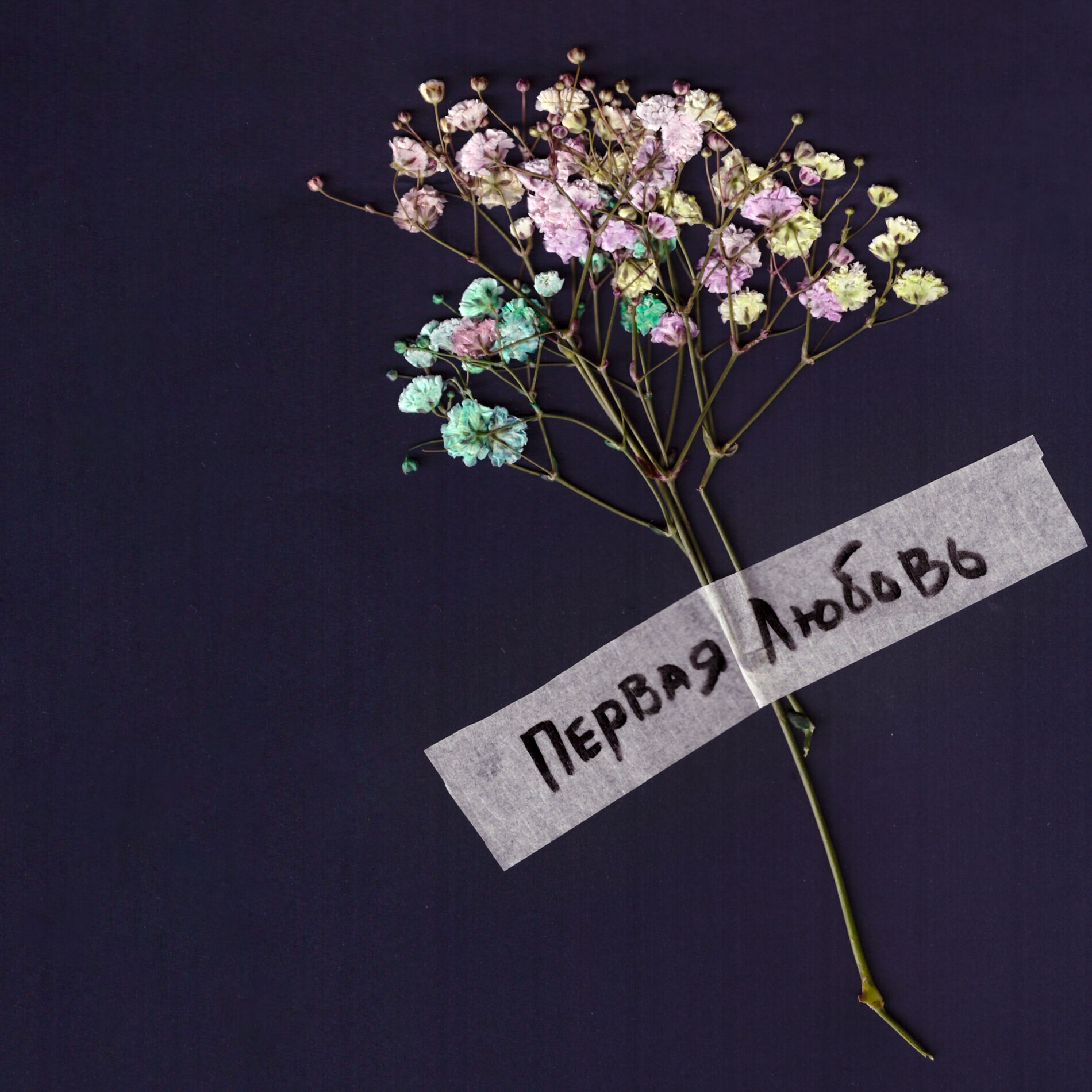 Album cover of Первая любовь
