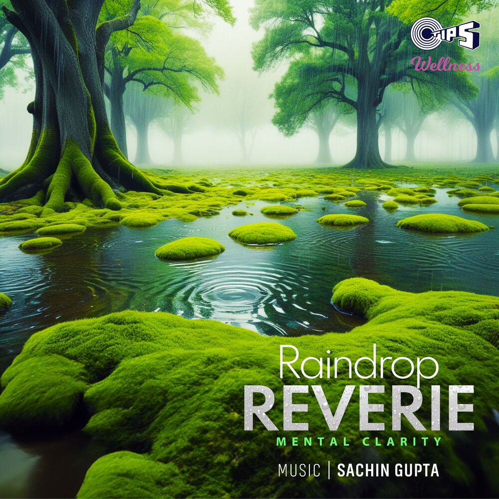 Picture of Raindrop Reverie