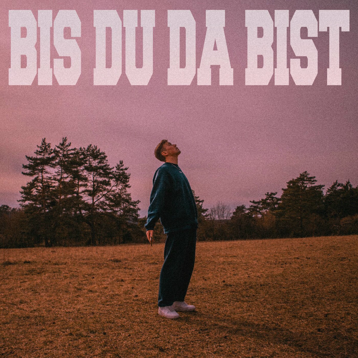 Album cover of BIS DU DA BIST