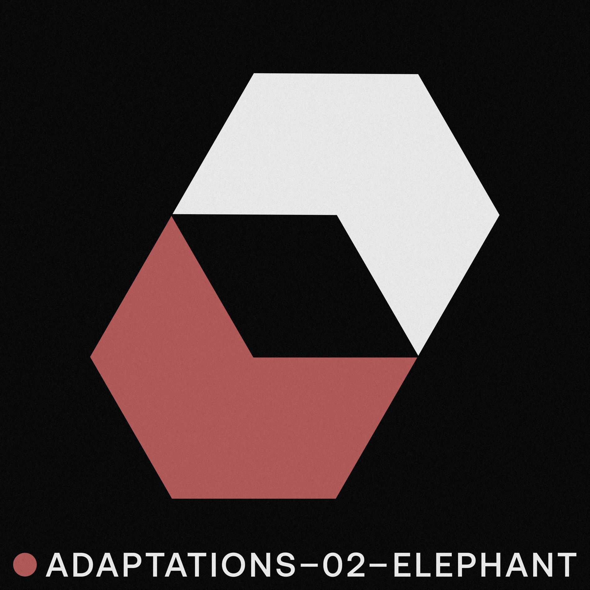 Album cover of Adaptations Volume 2