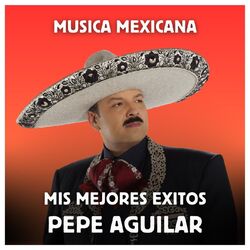 Cover of Música Mexicana - Mis Mejores Exitos