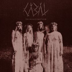 Cover of Exsanguination