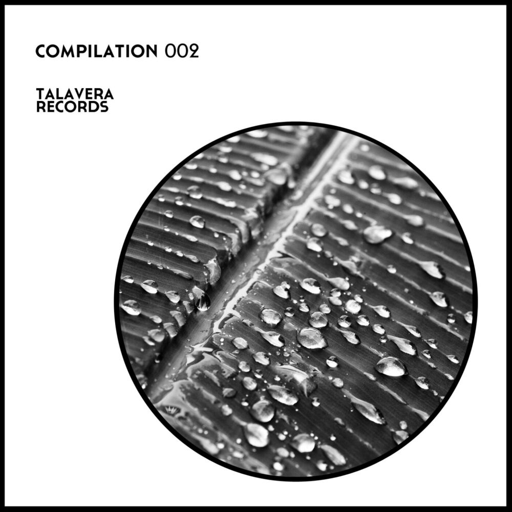 Picture of Talavera Records Compilation 002