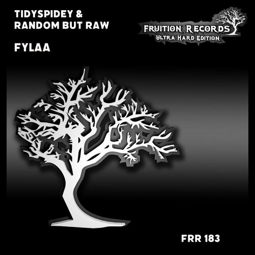  TidySpidey And Random But Raw - FYLAA (2024) 