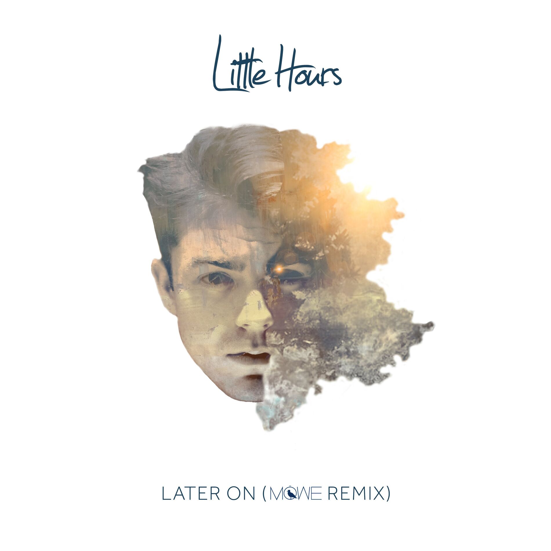 Album cover of Later on (Möwe Remix)