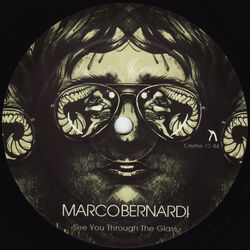 Cover of See you through the Glass