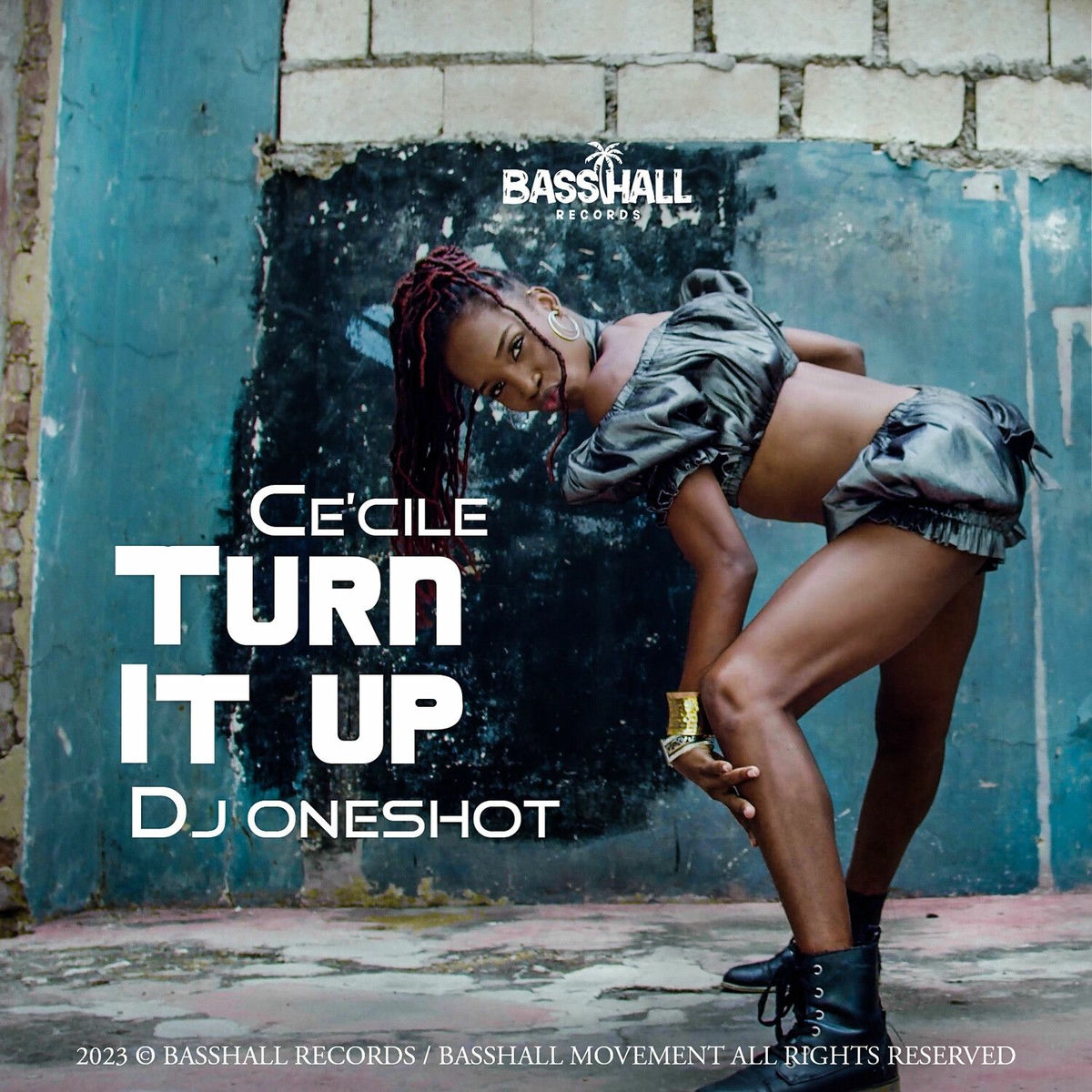 Album cover of Turn It Up