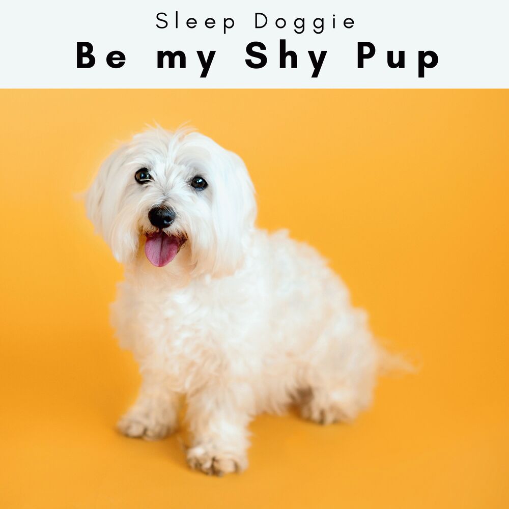 Picture of 4 Paws: Be my Shy Pup