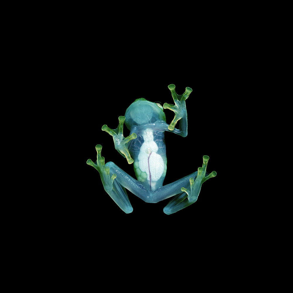 Picture of Turn Off The Lights