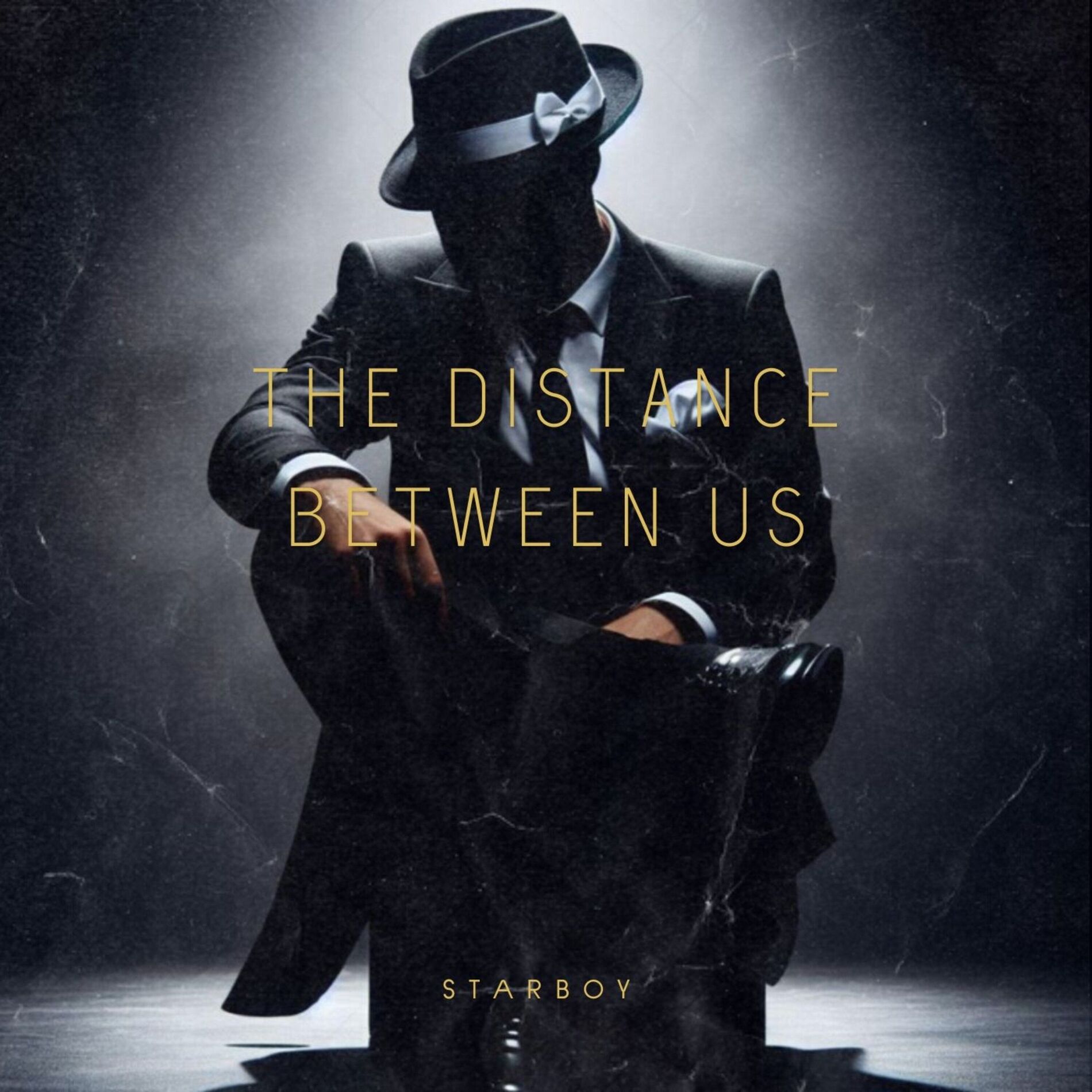 Album cover of The Distance Between Us