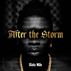 Cover of After the Storm